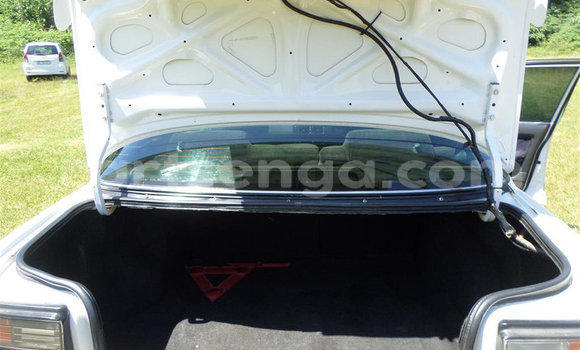 Buy Used Toyota Corolla White Car in Ezulwini in Hhohho Buy Used Toyota Corolla White Car in Ezulwini in Hhohho