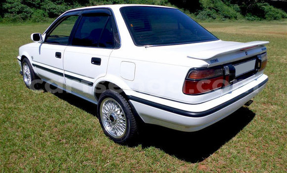 Buy Used Toyota Corolla White Car in Ezulwini in Hhohho Buy Used Toyota Corolla White Car in Ezulwini in Hhohho