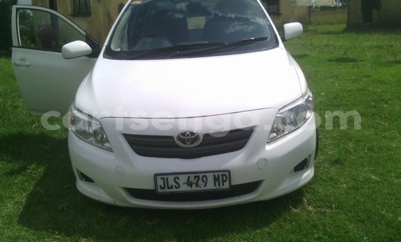 Buy Used Toyota Corolla White Car in Manzini in Swaziland Buy Used Toyota Corolla White Car in Manzini in Swaziland