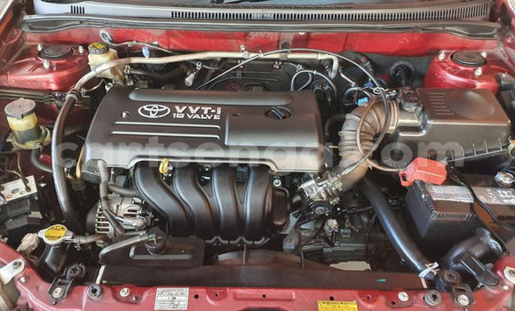 Acheter Occasion Voiture Toyota Runx Rouge à Ezulwini, Hhohho Acheter Occasion Voiture Toyota Runx Rouge à Ezulwini, Hhohho