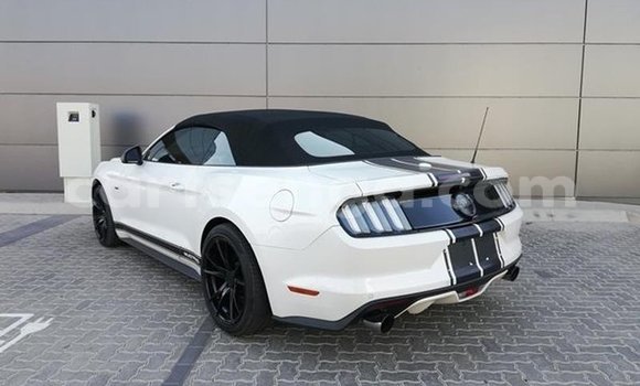 Nunua Ilio tumika Ford Mustang White Gari ndani ya Ezulwini nchini Hhohho Nunua Ilio tumika Ford Mustang White Gari ndani ya Ezulwini nchini Hhohho