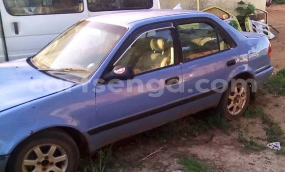 Buy Used Toyota Corolla Other Car in Nhlangano in Swaziland Buy Used Toyota Corolla Other Car in Nhlangano in Swaziland
