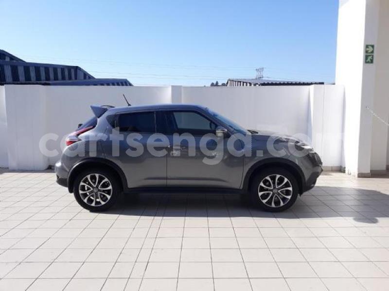 Big with watermark crop800x600 1 