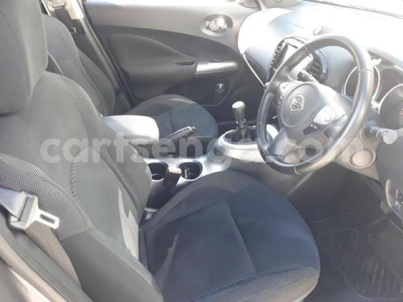 Big with watermark crop800x600 6 