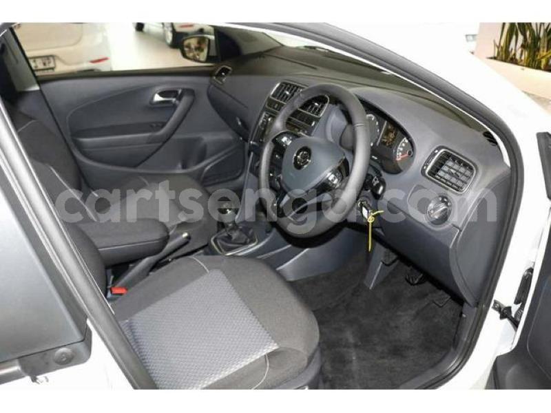 Big with watermark crop800x600 2019 08 06t122050.687