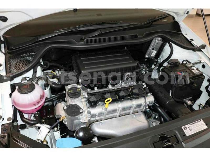 Big with watermark crop800x600 2019 08 06t122101.304