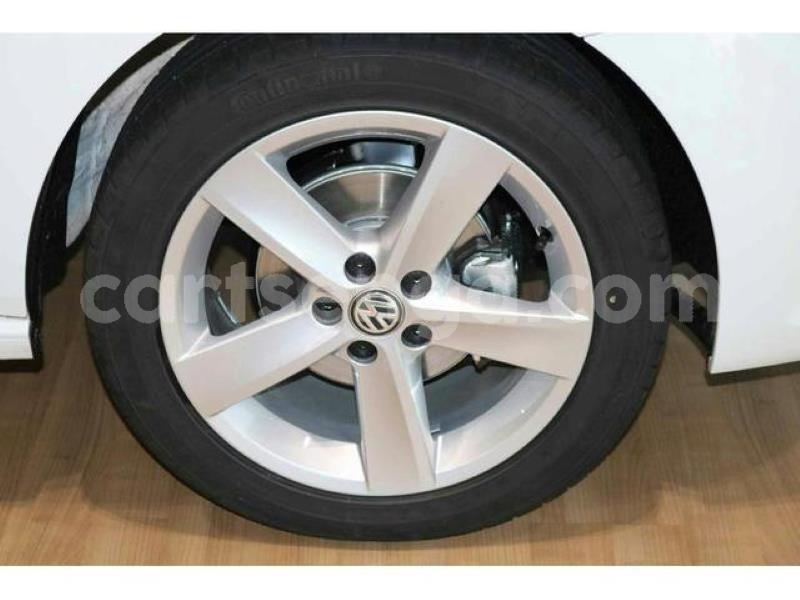 Big with watermark crop800x600 2019 08 06t122020.114