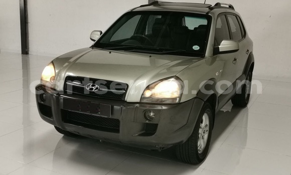 Buy Used Hyundai Tucson Other Car in Ezulwini in Hhohho Buy Used Hyundai Tucson Other Car in Ezulwini in Hhohho