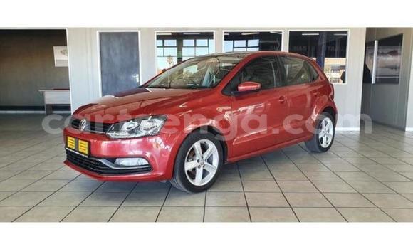 Buy Used Volkswagen Polo Red Car in Manzini in Manzini Buy Used Volkswagen Polo Red Car in Manzini in Manzini