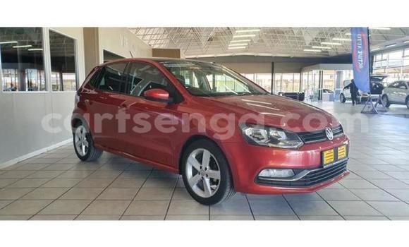 Buy Used Volkswagen Polo Red Car in Manzini in Manzini Buy Used Volkswagen Polo Red Car in Manzini in Manzini