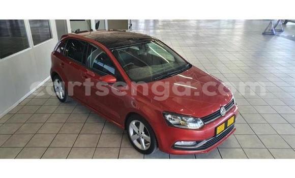 Buy Used Volkswagen Polo Red Car in Manzini in Manzini Buy Used Volkswagen Polo Red Car in Manzini in Manzini