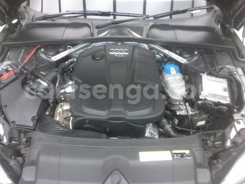 Big with watermark 11