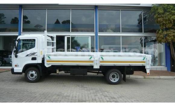 Buy Used Hyundai Chorus White Truck in Hlatikulu in Shiselweni District
