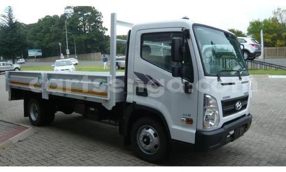 Buy Used Hyundai Chorus White Truck in Hlatikulu in Shiselweni District Buy Used Hyundai Chorus White Truck in Hlatikulu in Shiselweni District