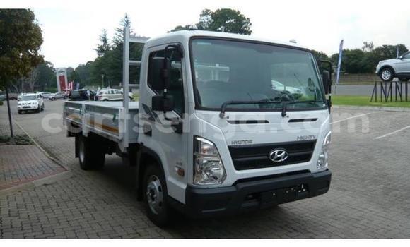 Buy Used Hyundai Chorus White Truck in Hlatikulu in Shiselweni District Buy Used Hyundai Chorus White Truck in Hlatikulu in Shiselweni District