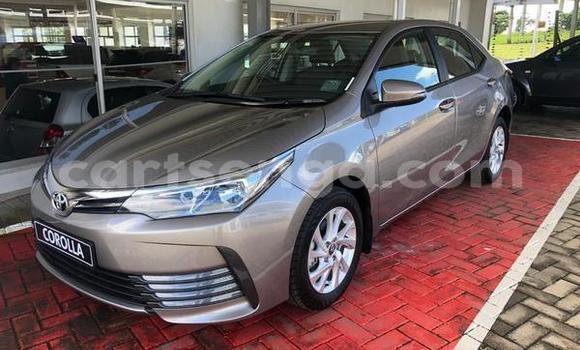 Acheter Occasion Voiture Toyota Corolla Gris à Bhunya, Manzini Acheter Occasion Voiture Toyota Corolla Gris à Bhunya, Manzini