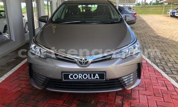 Acheter Occasion Voiture Toyota Corolla Gris à Bhunya, Manzini Acheter Occasion Voiture Toyota Corolla Gris à Bhunya, Manzini