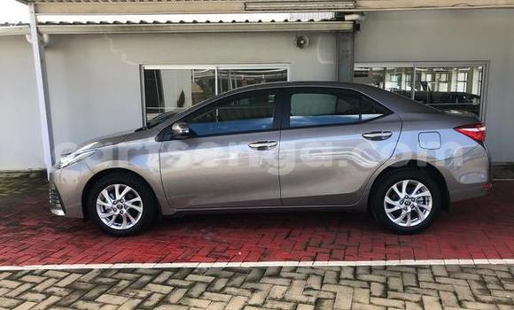 Acheter Occasion Voiture Toyota Corolla Gris à Bhunya, Manzini Acheter Occasion Voiture Toyota Corolla Gris à Bhunya, Manzini