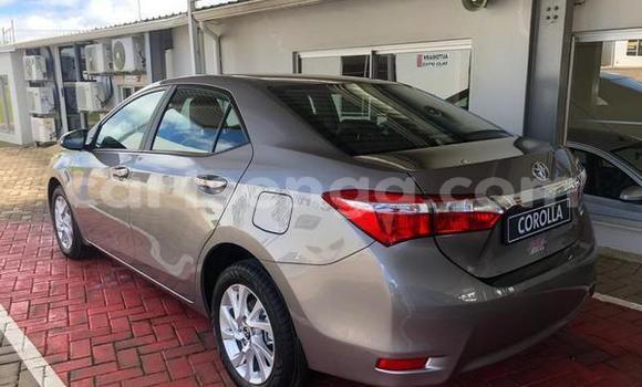Acheter Occasion Voiture Toyota Corolla Gris à Bhunya, Manzini Acheter Occasion Voiture Toyota Corolla Gris à Bhunya, Manzini
