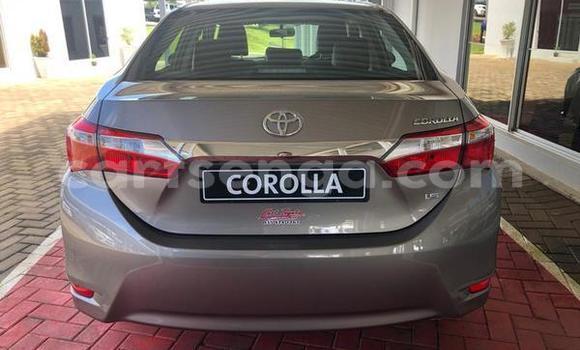 Acheter Occasion Voiture Toyota Corolla Gris à Bhunya, Manzini Acheter Occasion Voiture Toyota Corolla Gris à Bhunya, Manzini