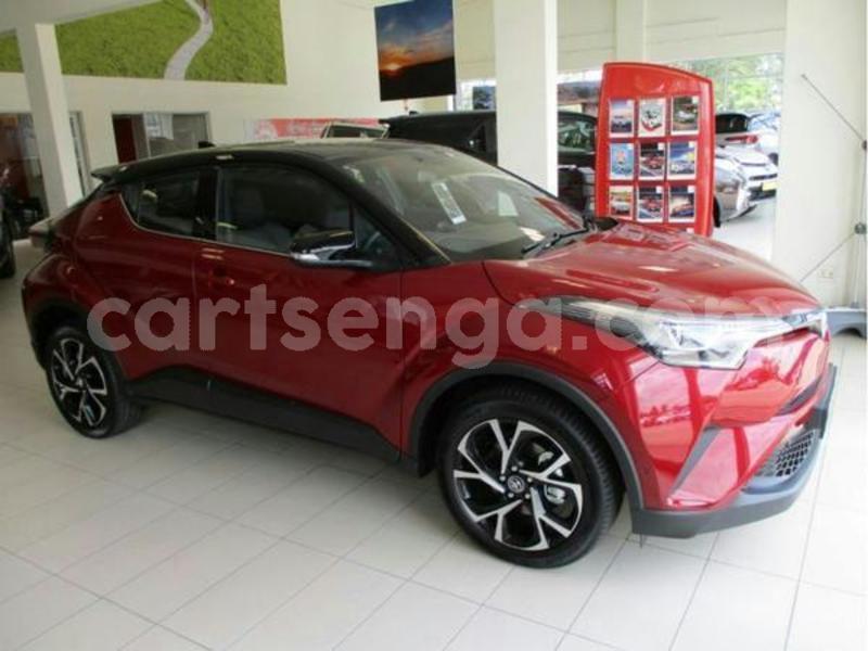 Big with watermark 600 2019 03 07t135956.865z