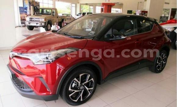 Acheter Occasion Voiture Toyota C-HR Rouge à Bhunya, Manzini Acheter Occasion Voiture Toyota C-HR Rouge à Bhunya, Manzini