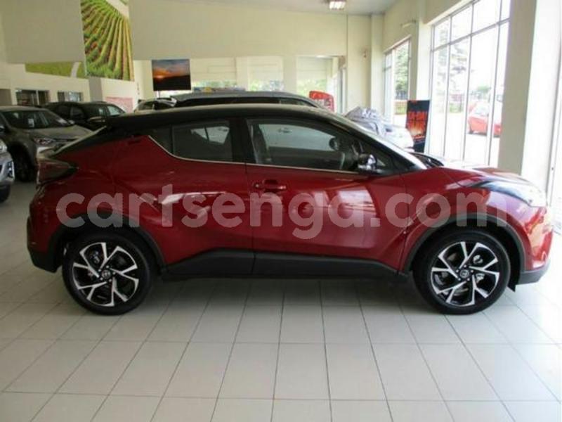 Big with watermark 600 2019 03 07t140016.466z