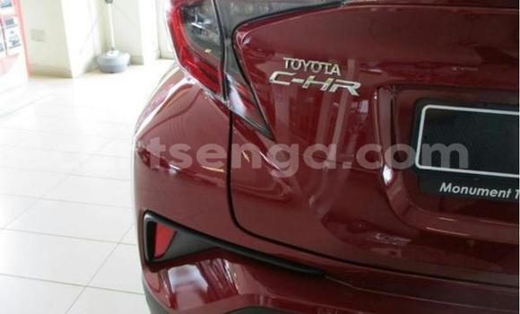 Acheter Occasion Voiture Toyota C-HR Rouge à Bhunya, Manzini Acheter Occasion Voiture Toyota C-HR Rouge à Bhunya, Manzini