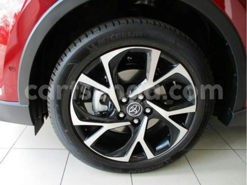 Big with watermark 600 2019 03 07t140058.422z