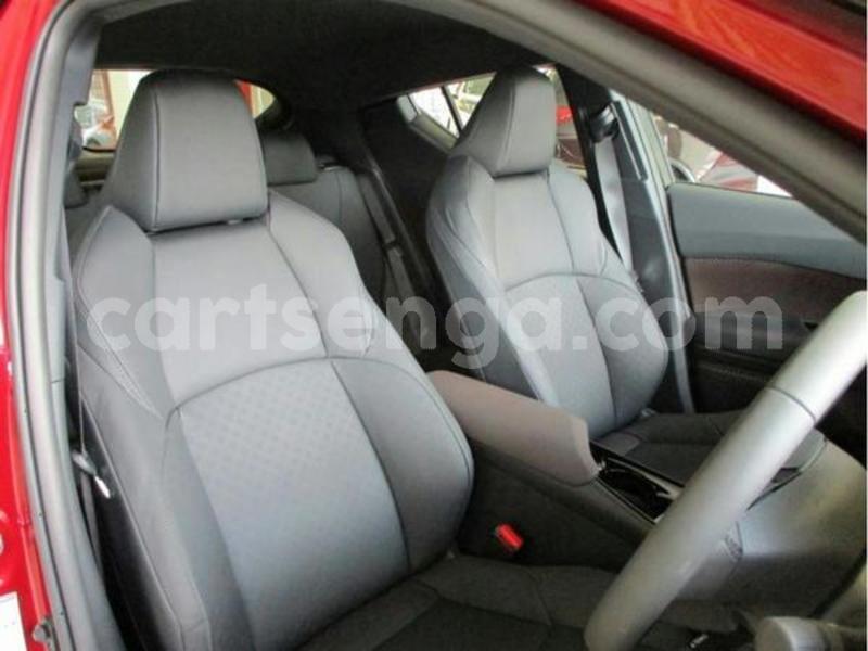 Big with watermark 600 2019 03 07t140111.241z