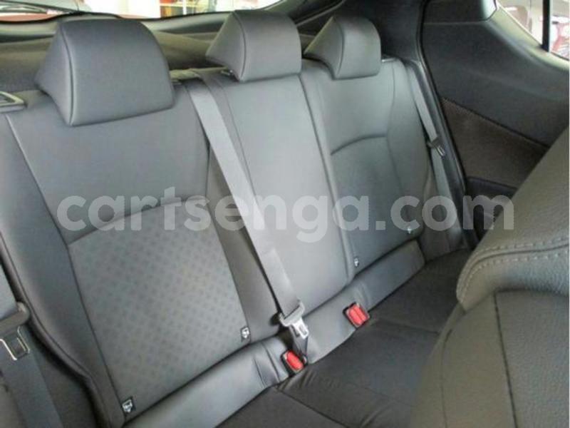 Big with watermark 600 2019 03 07t140129.381z