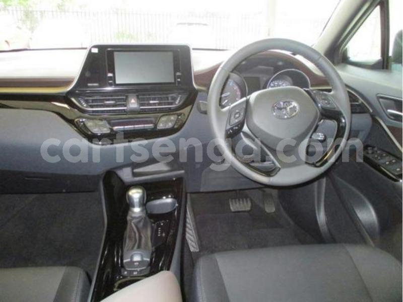 Big with watermark 600 2019 03 07t140136.014z