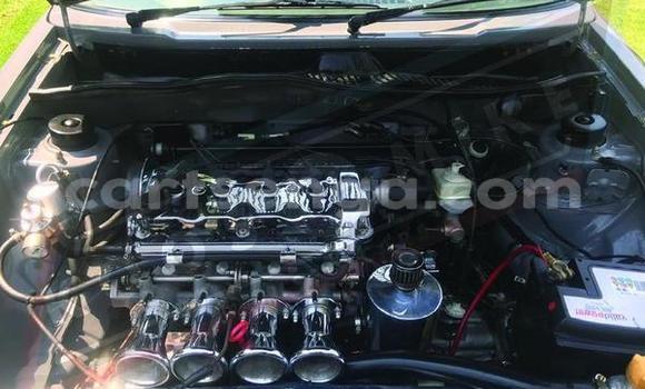 Acheter Occasion Voiture Volkswagen Golf Country Vert à Bhunya, Manzini Acheter Occasion Voiture Volkswagen Golf Country Vert à Bhunya, Manzini