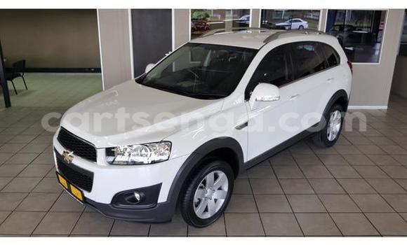 Acheter Occasion Voiture Chevrolet TrailBlazer Blanc à Bhunya, Manzini Acheter Occasion Voiture Chevrolet TrailBlazer Blanc à Bhunya, Manzini