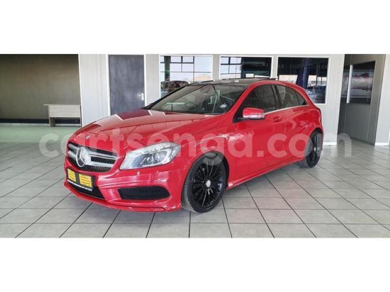 Big with watermark crop800x600 1