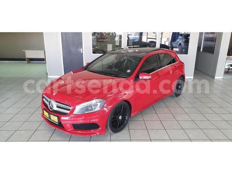 Big with watermark crop800x600