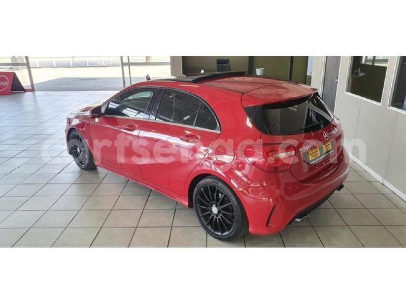 Big with watermark crop800x600 2