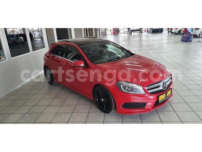 Big with watermark crop800x600 4