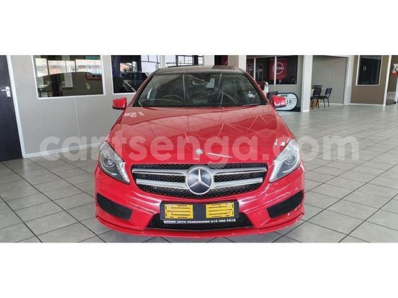 Big with watermark crop800x600 6