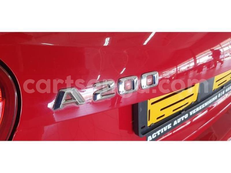 Big with watermark crop800x600 9