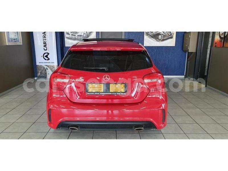 Big with watermark crop800x600 8