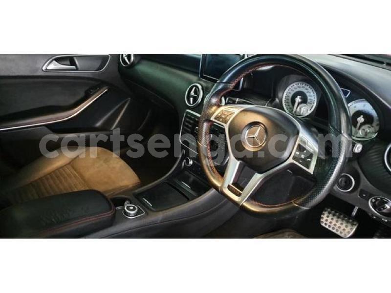 Big with watermark crop800x600 11