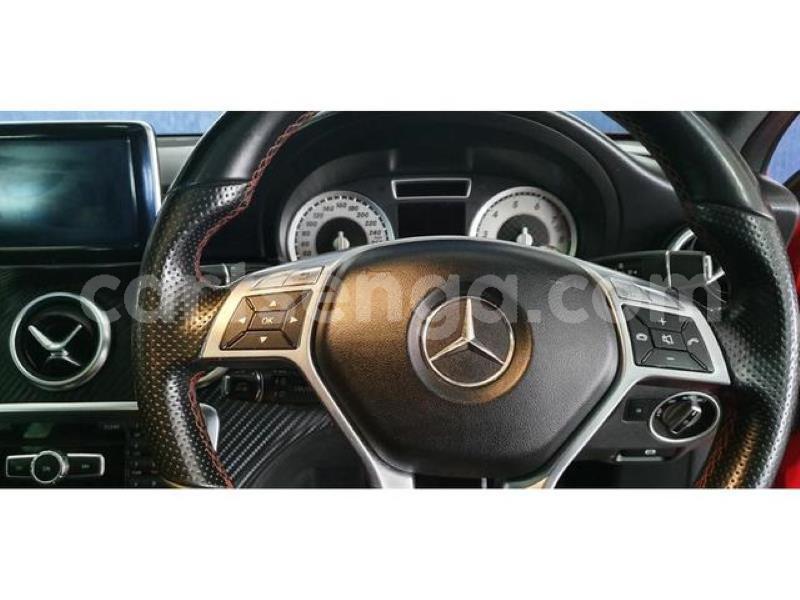 Big with watermark crop800x600 10