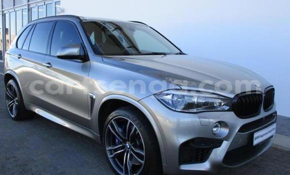Acheter Occasion Voiture BMW X5 Gris à Hlatikulu, Shiselweni District Acheter Occasion Voiture BMW X5 Gris à Hlatikulu, Shiselweni District