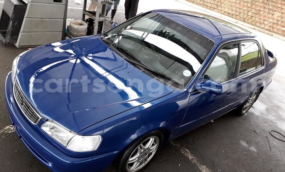 Nunua Ilio tumika Toyota Corolla Blue Gari ndani ya Bulembu nchini Hhohho Nunua Ilio tumika Toyota Corolla Blue Gari ndani ya Bulembu nchini Hhohho