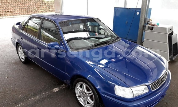 Nunua Ilio tumika Toyota Corolla Blue Gari ndani ya Bulembu nchini Hhohho Nunua Ilio tumika Toyota Corolla Blue Gari ndani ya Bulembu nchini Hhohho