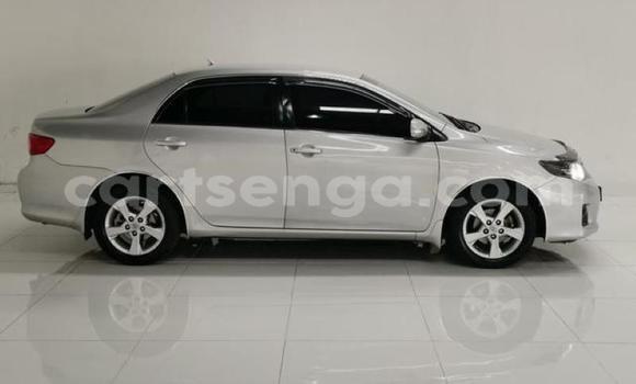 Buy Used Toyota Corolla Silver Car in Ezulwini in Hhohho Buy Used Toyota Corolla Silver Car in Ezulwini in Hhohho
