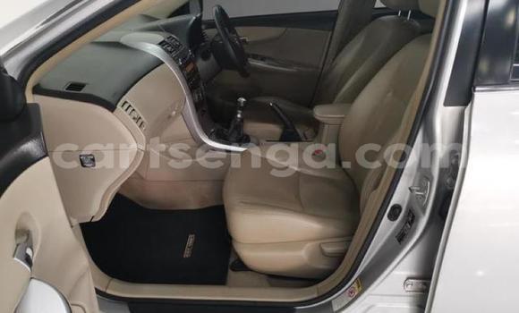 Buy Used Toyota Corolla Silver Car in Ezulwini in Hhohho Buy Used Toyota Corolla Silver Car in Ezulwini in Hhohho