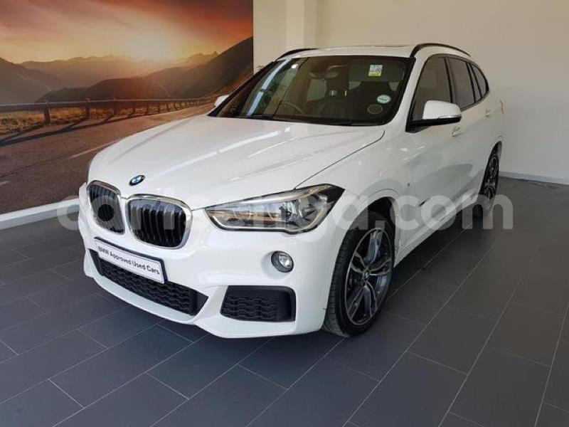 Big with watermark crop800x600