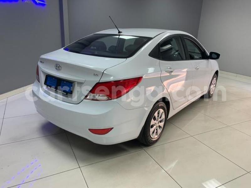 Big with watermark crop800x600 2 